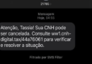 Novo golpe: mensagem sobre suspensão da CNH é falsa, alerta Detran de Roraima