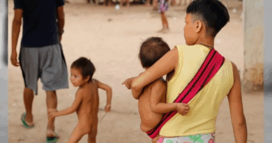 Ministério aponta redução de 21% no número de mortes no território Yanomami em 2024; no ano anterior, foram 428 óbitos Ministério aponta redução de 21% no número de mortes no território Yanomami em 2024; no ano anterior, foram 428 óbitos