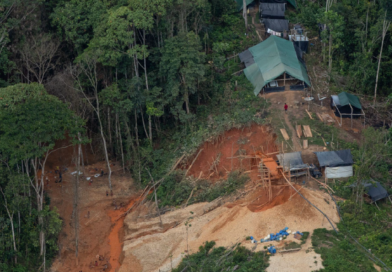 Garimpeiro é condenado por extração de ouro na Terra Yanomami em Roraima