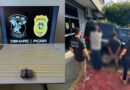 Investigação identifica entrega de ecstasy e haxixe e leva à prisão de motoboy; drogas são avaliadas em mais de R$ 310 mil