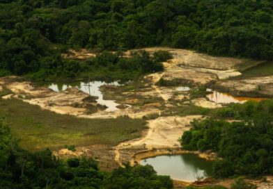 ISA registra redução do desmatamento por garimpo na Terra Yanomami, mas aponta novas rotas de invasão ISA registra redução do desmatamento por garimpo na Terra Yanomami, mas aponta novas rotas de invasão