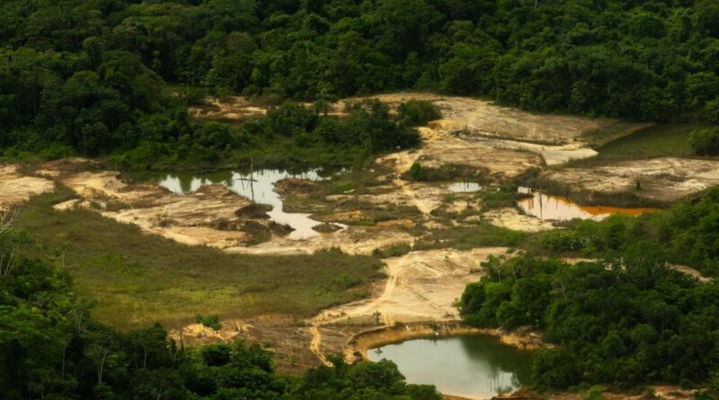 ISA registra redução do desmatamento por garimpo na Terra Yanomami, mas aponta novas rotas de invasão ISA registra redução do desmatamento por garimpo na Terra Yanomami, mas aponta novas rotas de invasão