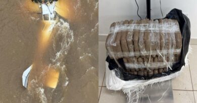 Aeronave com mais de 25 kg de skunk faz pouso forçado em rio após ser interceptado pela FAB e PF em Roraima