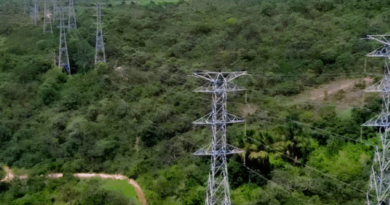 Comissão da Câmara aprova proposta para fortalecer fornecimento de energia elétrica em Roraima