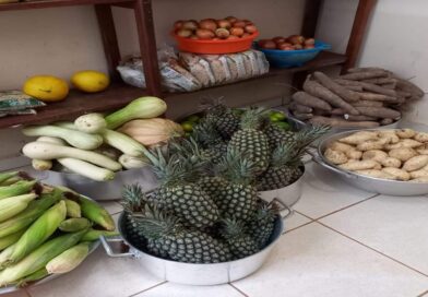 Agricultura familiar de Roraima vai poder fornecer merenda escolar por plataforma digital