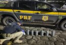 PRF apreende 253 kg de mercúrio no Cantá; total no ano chega a 1,08 tonelada PRF apreende 253 kg de mercúrio no Cantá; total no ano chega a 1,08 tonelada