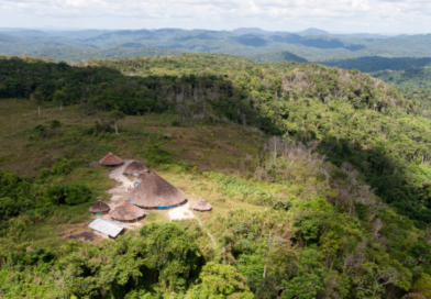 Comitiva do Senado deve fazer inspeção em áreas Yanomami e Sanumá após relatos de desnutrição Comitiva do Senado deve fazer inspeção em áreas Yanomami e Sanumá após relatos de desnutrição