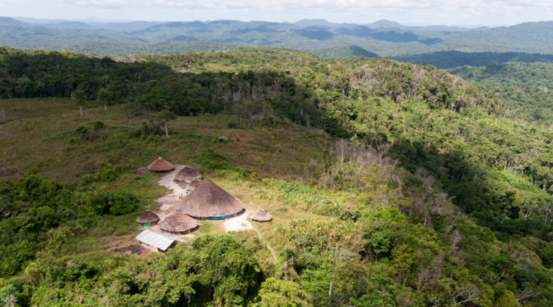 Comitiva do Senado deve fazer inspeção em áreas Yanomami e Sanumá após relatos de desnutrição Comitiva do Senado deve fazer inspeção em áreas Yanomami e Sanumá após relatos de desnutrição