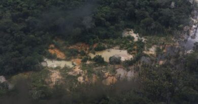 Relatório aponta desafios persistentes para comunidades Yanomami em Roraima mesmo após redução do garimpo