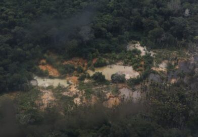Relatório aponta desafios persistentes para comunidades Yanomami em Roraima mesmo após redução do garimpo Relatório aponta desafios persistentes para comunidades Yanomami em Roraima mesmo após redução do garimpo