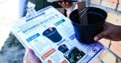 Prefeitura monitora Aedes aegypti com armadilhas em 14 bairros de Boa Vista Prefeitura monitora Aedes aegypti com armadilhas em 14 bairros de Boa Vista