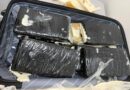 PF prende mulher com 15 tabletes de skunk no aeroporto de Boa Vista; é o 2º flagrante em dois dias