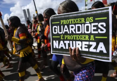 Roraima lidera número de assassinatos de indígenas no Brasil em relatório do Cimi