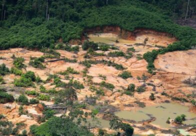 Recurso da ANM é rejeitado e mineração em terras indígenas segue proibida em Roraima Recurso da ANM é rejeitado e mineração em terras indígenas segue proibida em Roraima